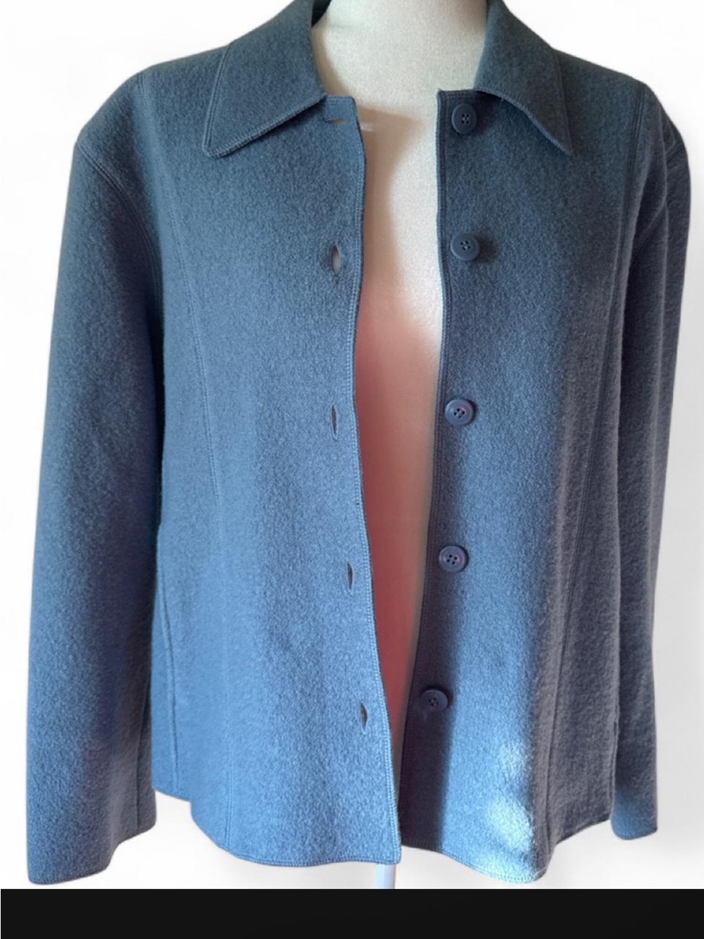 Petite Sophisticates Women's Button-Front Wool Jacket - Blue